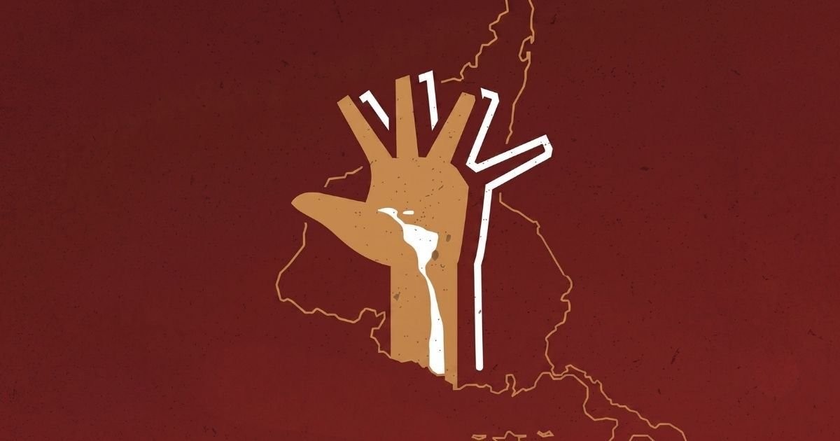 Analise do Livro: O Foro de São Paulo e a Pátria Grande